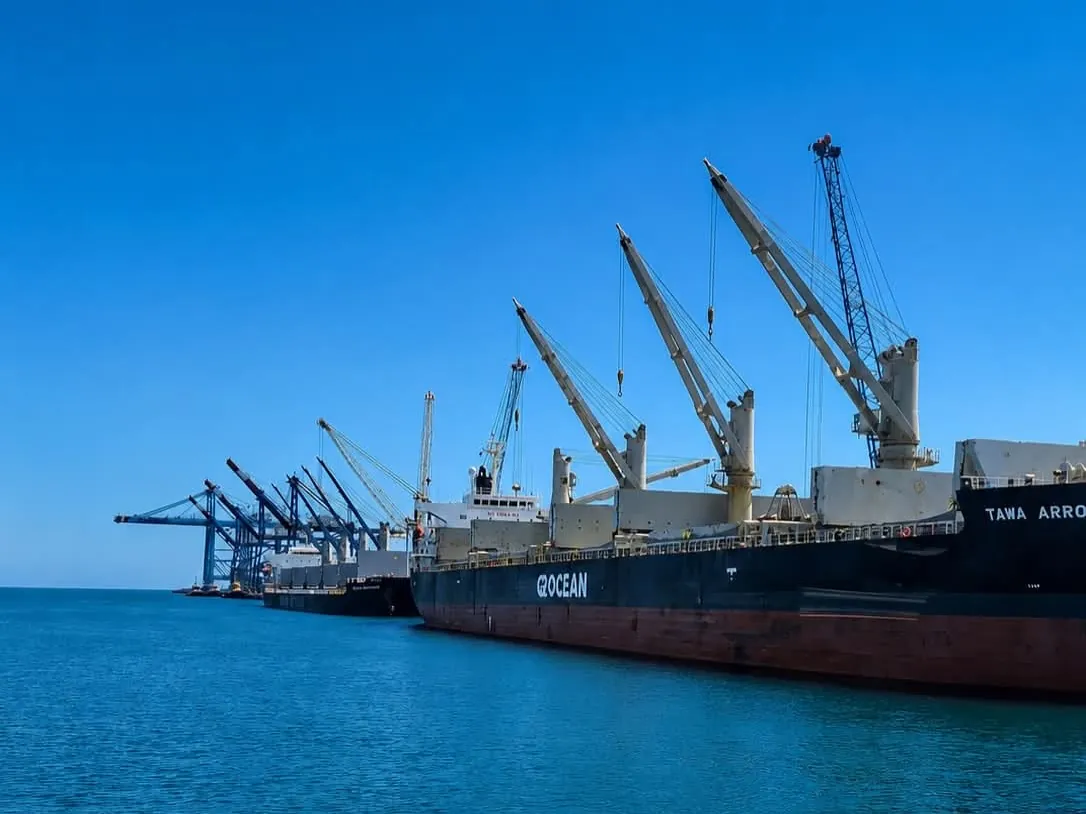 Cargo ships and cranes at the docks of the Port of Pecém, State of Ceará