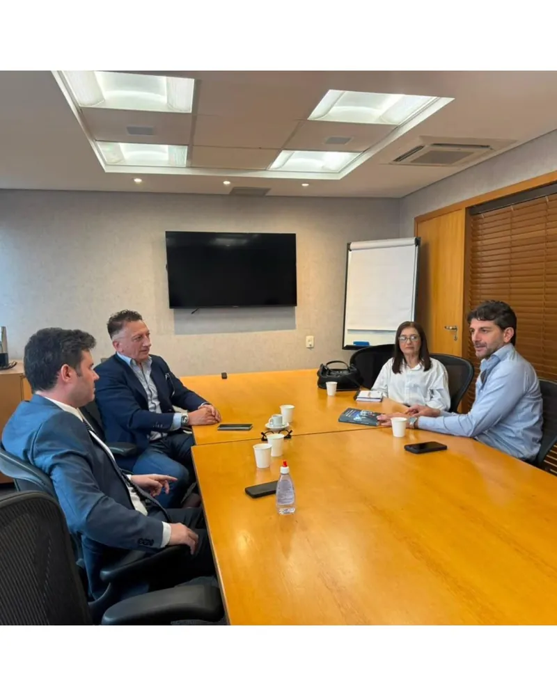 Working meeting in a conference room